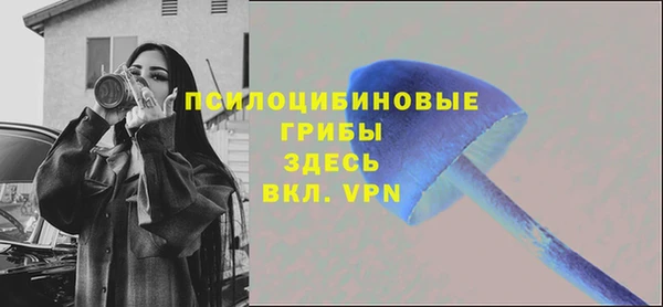 трава Абдулино
