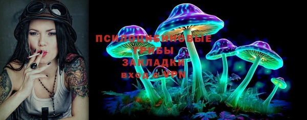 сатива Алзамай