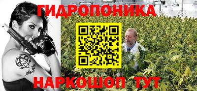 сатива Анапа