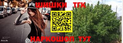 индика Анжеро-Судженск