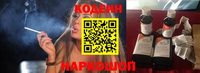индика Анжеро-Судженск