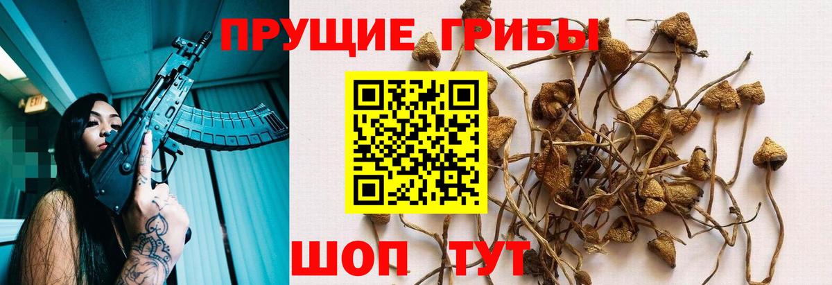 Псилоцибиновые грибы прущие грибы  Вход с VPN  Галлюциногенные грибы Magic Shrooms  Алексеевка 